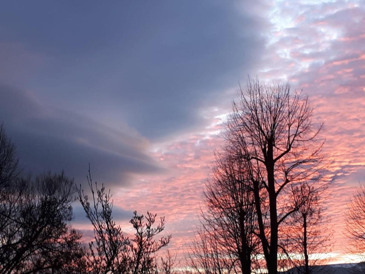 Ubytování v soukromí rodinné vily v Děčíně Exterior foto